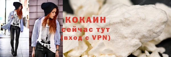 индика Абаза