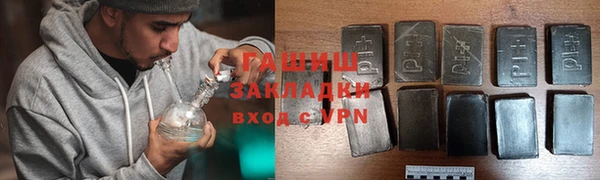 индика Абаза