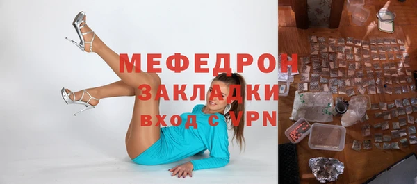 индика Абаза