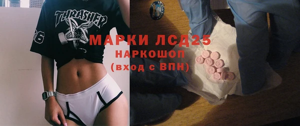 индика Абаза