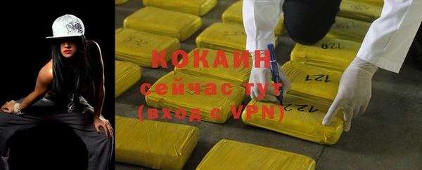 индика Абаза