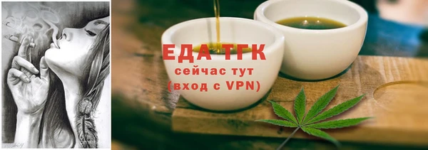 индика Абаза