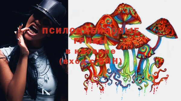 стафф Абинск