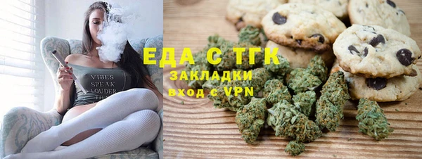 индика Абаза